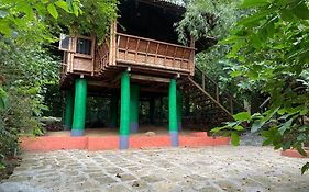 Trekking Trails Eco Stay